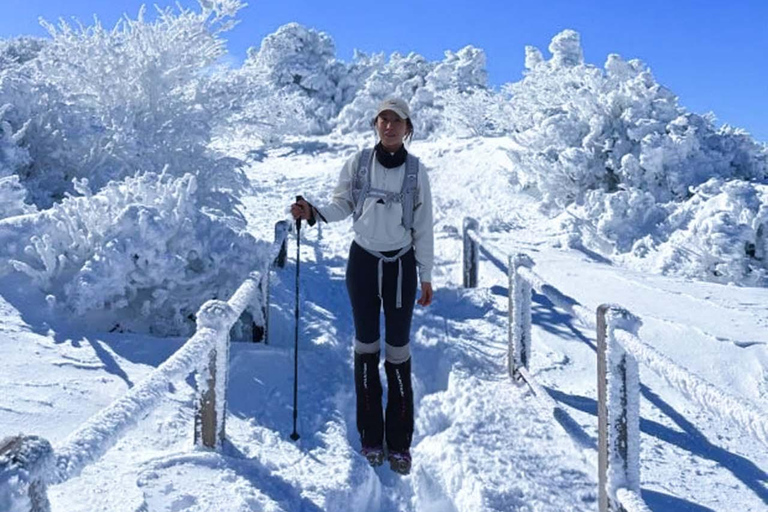 Jeju: HALLASAN National Park Guided Snow Climb (5hr_w/Gear)