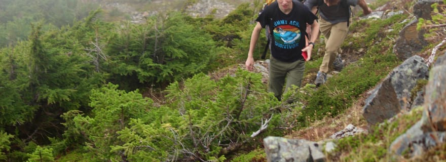 Sitka : Randonnée guidée sur le sentier de la nature sauvage de l'Alaska