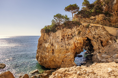 Von Valencia aus: Cala del Moraig Wanderung &amp; StrandausflugVon Valencia: Wanderung &amp; Strandausflug nach Cala del Moraig