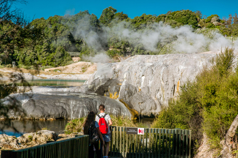 Auckland : Waitomo Glowworms & Te Puia Rotorua with Lunch