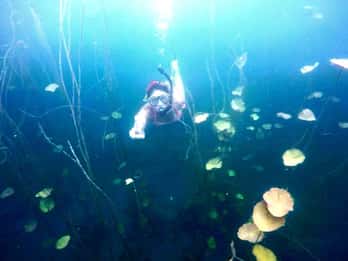 Bacalar: Magnificent Bacalar Lagoon Exclusive Boat Tour