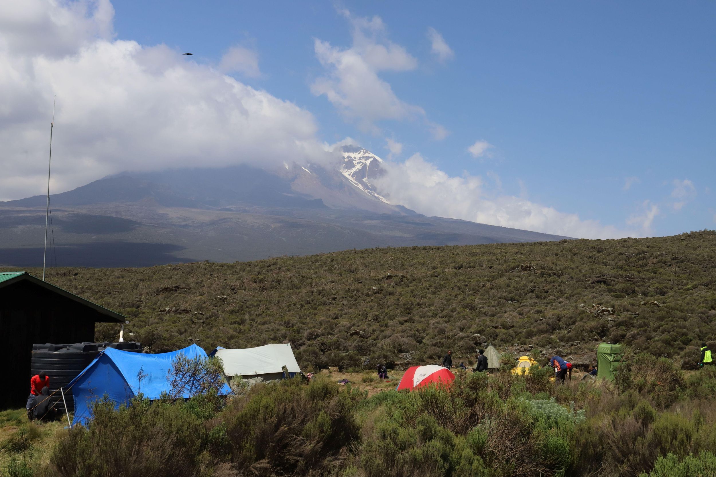 Kilimandscharo: Tagestour zum Shira-Plateau ab Moshi
