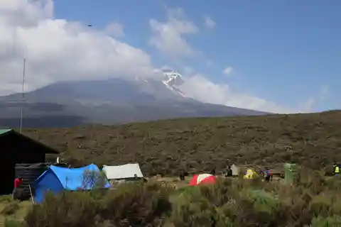 Kilimanjaro: Viagem de 1 dia ao Planalto de Shira, a partir de Moshi/ Arusha
