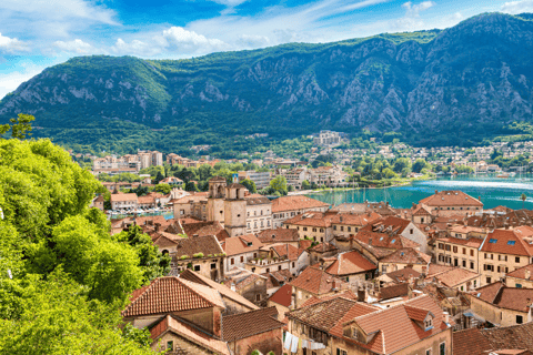 Kotor : Altstadt Food &amp; Wine Tasting TourKotor Food &amp; Wine Tasting Tour 2024