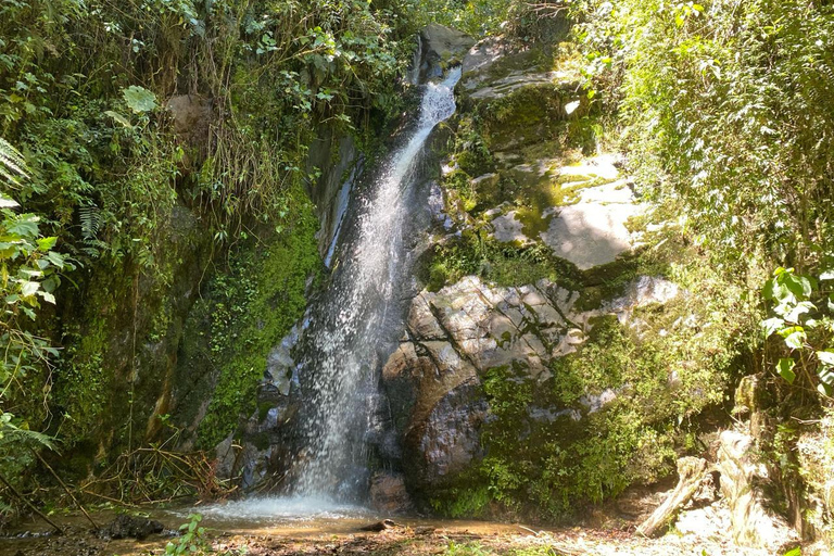 Near Papallacta: hiking in private natural reserve + lunch