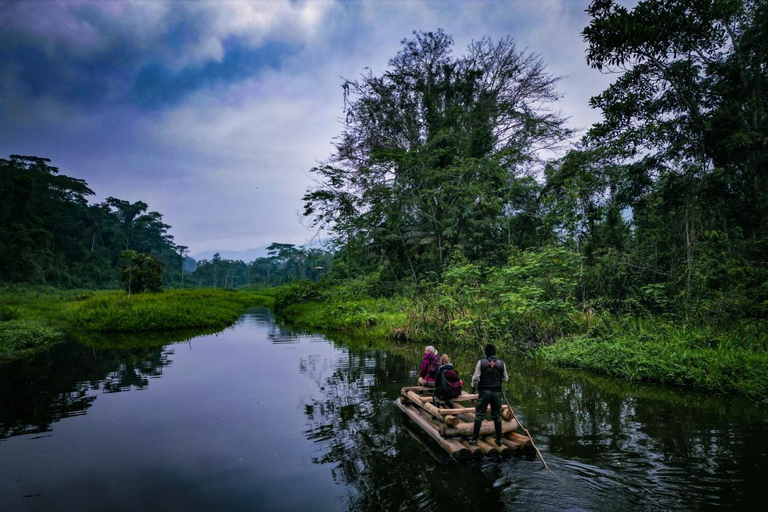 Da Cusco: 5 giorni di esplorazione e connessione nella Zona Riservata del ManuDa Cusco: 5 giorni di esplorazione e connessione nella Zona Riservata di Manu