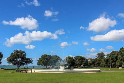 Auckland: Private Sunset Tour