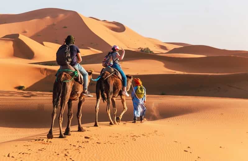 Au départ d'Agadir : circuit privé de 3 jours dans le désert de Merzouga jusqu'à Marrakech - dromadaire