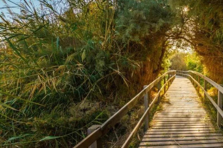 History & Nature: Azraq Wetland Reserve and Desert Castles