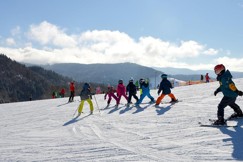 Seoul: Elysian Ski Resort & Eobi Ice Valley Depart from Hongik Univ. Station Exit 4