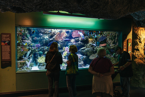 Acuario del Pacífico, LA: ticket sin colas en la taquilla