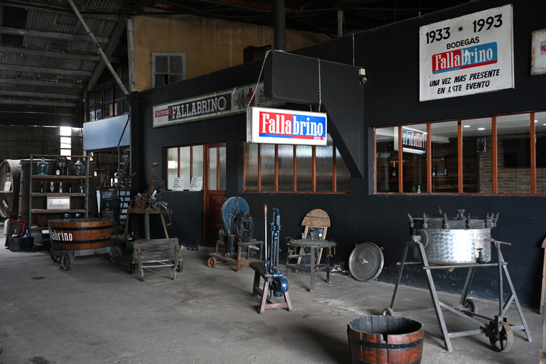 Montevideo: Exclusive VIP Experience at a Century-Old Winery, Tasting, Lunch, Transport