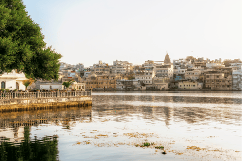 Udaipur: Excursión al Lago del Tigre 3 Horas con Guía