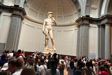 David Tour @ Accademia Gallery With Five Star Guide & Ticket