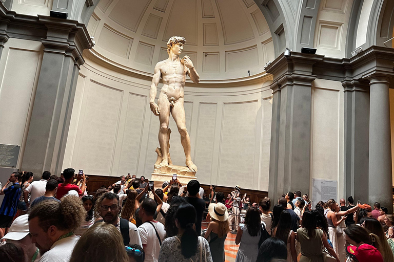 David Tour @ Accademia Gallery With Five Star Guide & Ticket