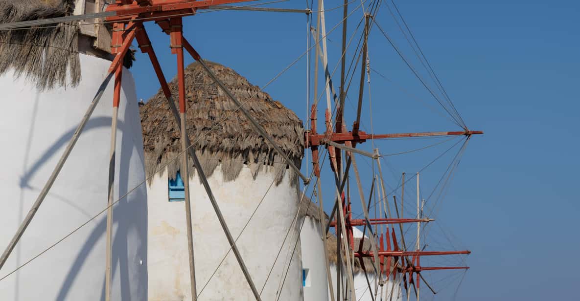 Mykonos Island tour for cruise travelers (small group) — a boat tour from Mykonos, Greece