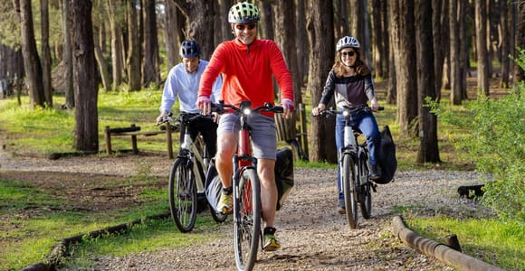 Lisbon: E-bike tour to Belém & Monsanto Forest Park