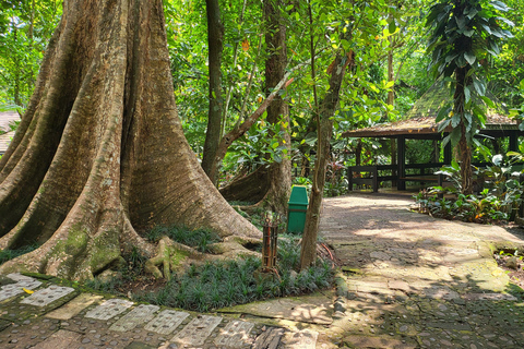 Hidden Valley Springs | Lunch | Taal Volcano Viewing (2in1)