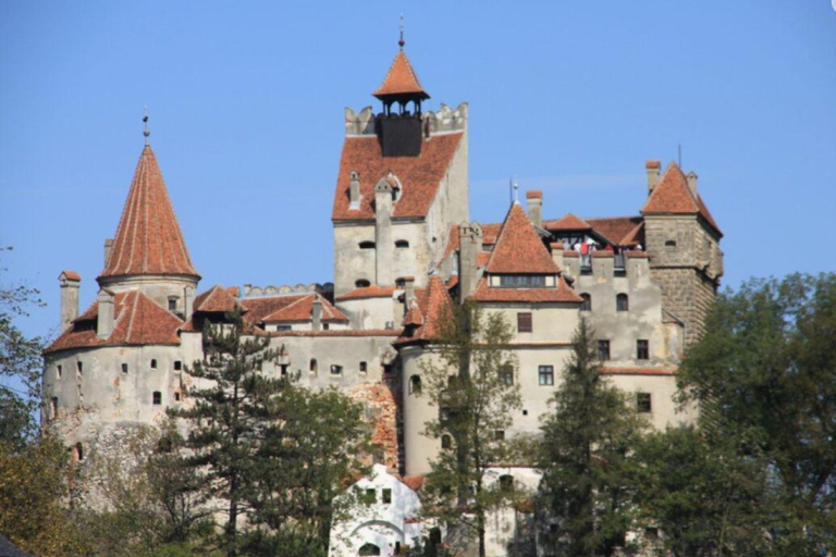 Dracula Castle, Peles Castle &amp; Brasov City ,Private Tour