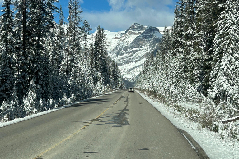 Banff: Transfer nad jezioro Louise i do kanionu JohnstonZ parkingu autobusowego hotelu Mount Royal