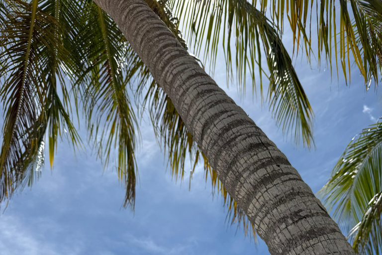 Saona Island: Premium Beach Tour