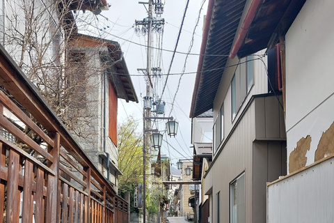 Nagano: Snow Monkey Park, Soba Lunch, and Shibu Onsen Tour Tour + Onsen Stamp Towel