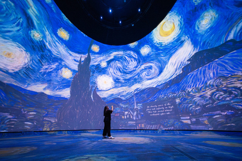 Amsterdam: Van Gogh Museum Guided Tour & Ticket