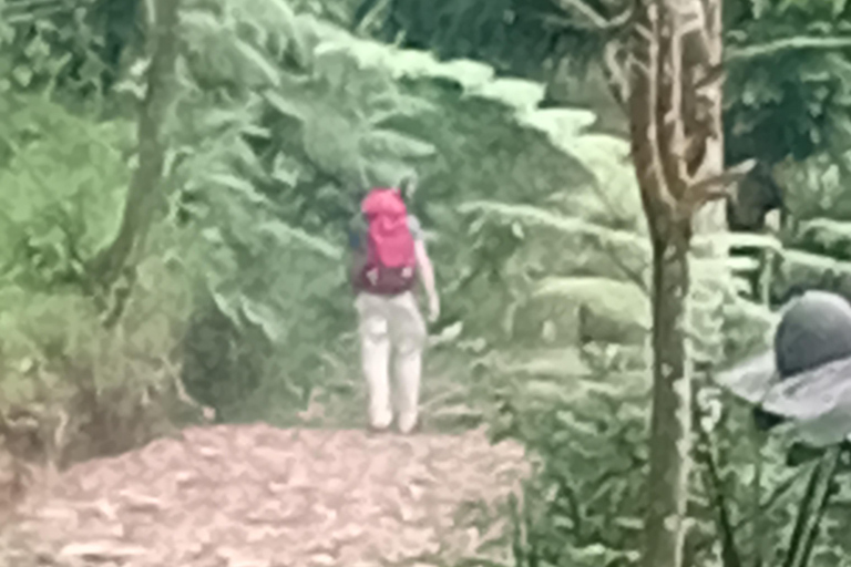 Queen Crater Hike on Halimun Salak Mountain National Park