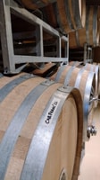 Wine Tour Córdoba - Hizvo