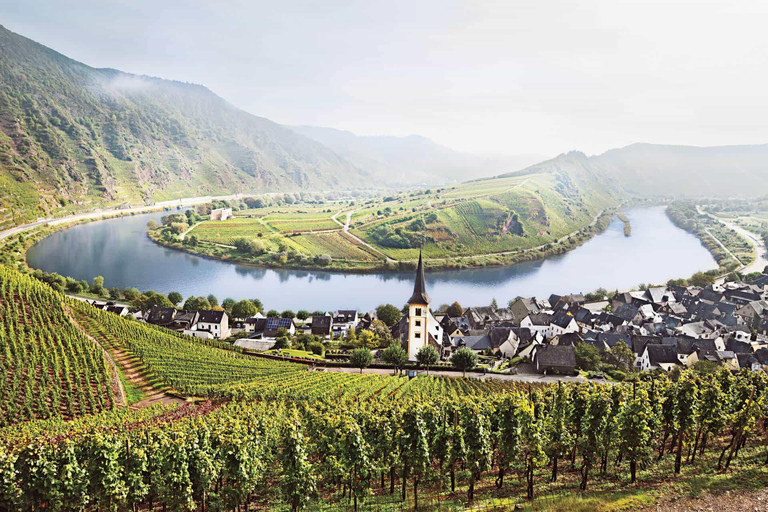 Luxembourg: Moselle Wine & Beaufort Castle Private Day Tour