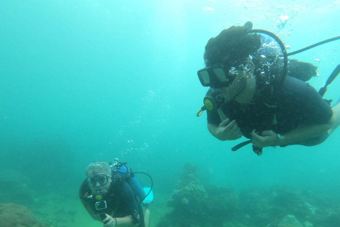 Mini Diving in Barú + Mangroves and Raccoons with lunch