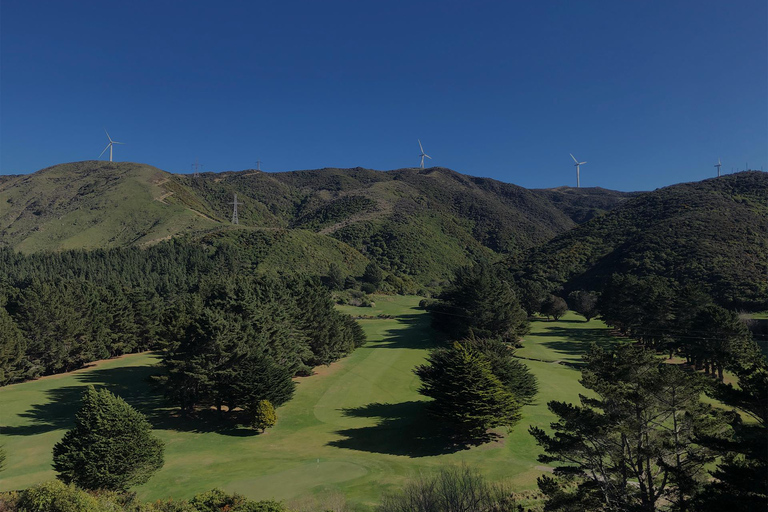 Wellington: Tour de golf de 7 días por la parte sur de la Isla NorteWellington: Tour de golf de 7 días por el sur de la Isla Norte