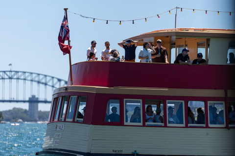Sydney: Vivid Festival Cruise 90 - minutes