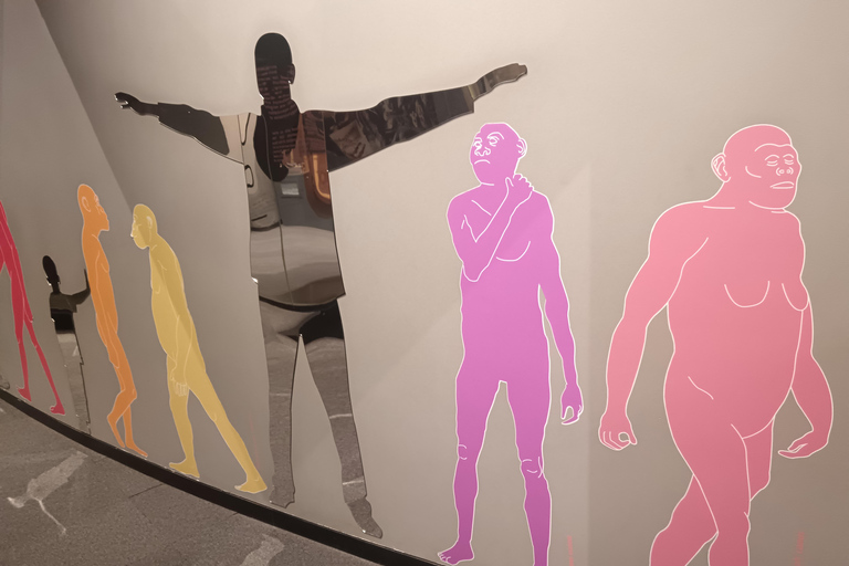 Johannesburg: Cradle Of Humankind & Fossil Discovery Tour