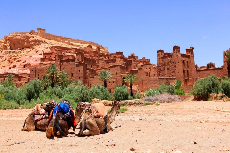 Marrakech: Ouarzazate and Ait Benhaddou Day Trip with Kasbah