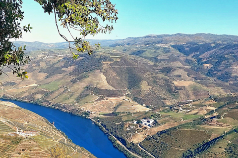 Douro Valley: Private Wine Tour with Lunch