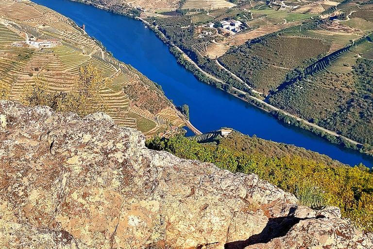 Douro Valley: Private Wine Tour with Lunch