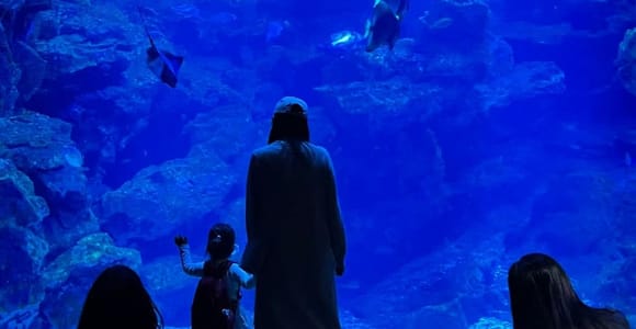 Kyoto Aquarium: Family Pass & Digital Explorer Guide
