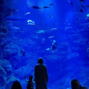 Kyoto Aquarium: Family Pass & Digital Explorer Guide