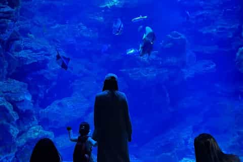 Kyoto Aquarium: Family Pass & Digital Explorer Guide - Image 3