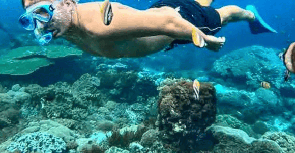 Muscat: Daymaniyat Islands Snorkeling with Turtles & Pickup