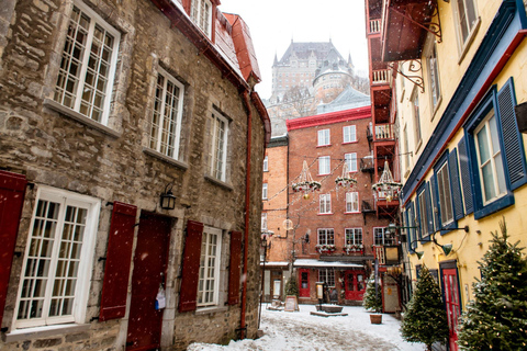 Montreal Science Centre & Notre-Dame Basilica Private Tour 4-hour: Montreal Science Centre & Notre Dame Tour (No Car)