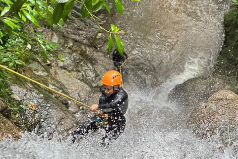 ميديلين: جولة نصف يوم للنزول إلى الشلالات الرائعة.