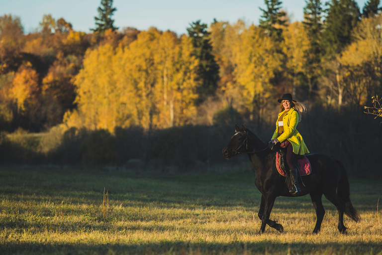 Ibiza: Private Horse Ride, Massage, Reiki With lunch Picnic