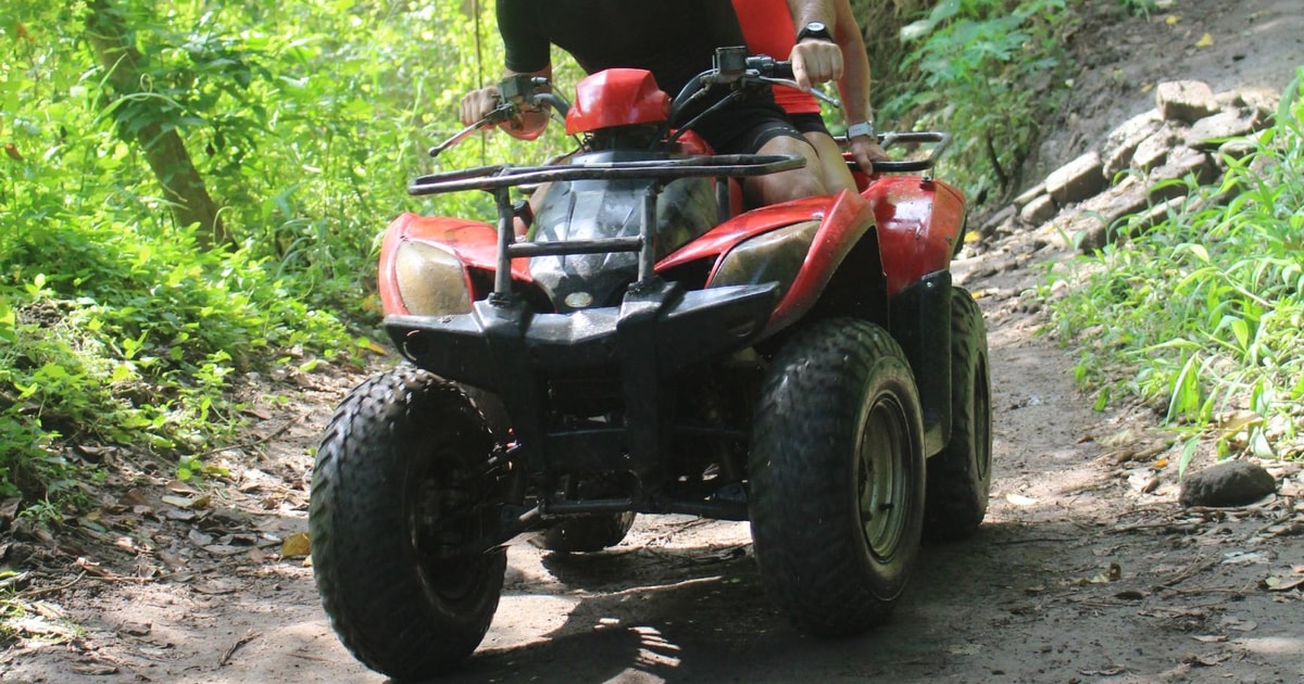 Mtb Rice Bali : Atv Quad Bike, Rice Terrace, Waterfall. | GetYourGuide