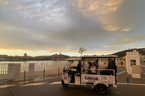 Tour TukTuk MálagaMálaga: Tour en TukTuk 1 Hora