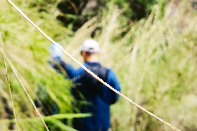 Tiger Leaping Gorge Trekking in the Canyon
