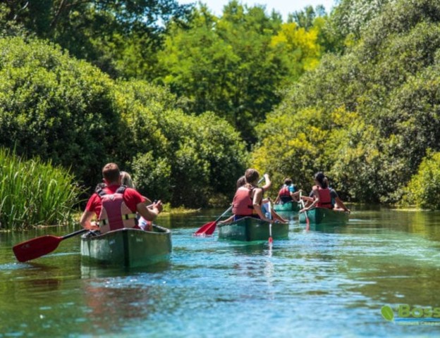 Visit Canoe ride on Piediluco lake with lunch in Narni