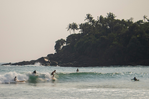 Bentota: Surfing Lesson with Instructor and Equipment