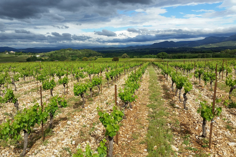 Aniane: Château Capion Wine Tasting Experience